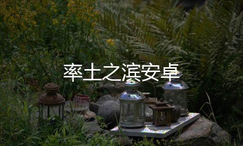 率土之滨安卓