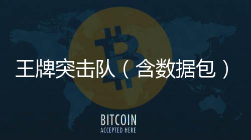 王牌突击队（含数据包）官方版