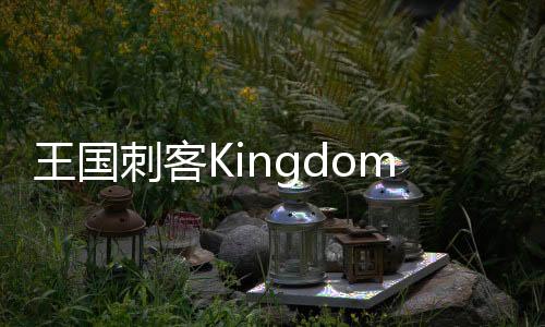 王国刺客Kingdom: Assassin免广告