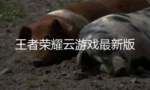 王者荣耀云游戏最新版