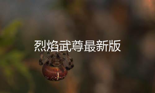 烈焰武尊最新版
