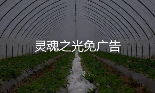 灵魂之光免广告