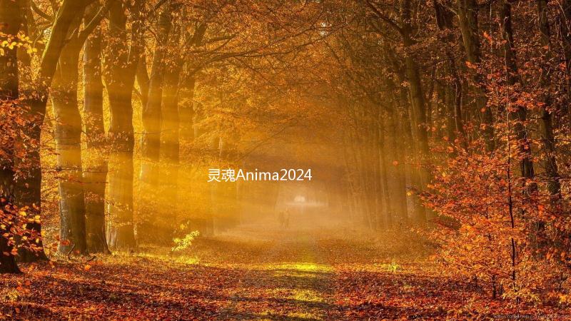 灵魂Anima2024最新版