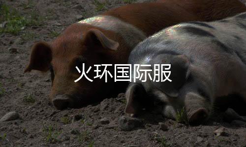 火环国际服