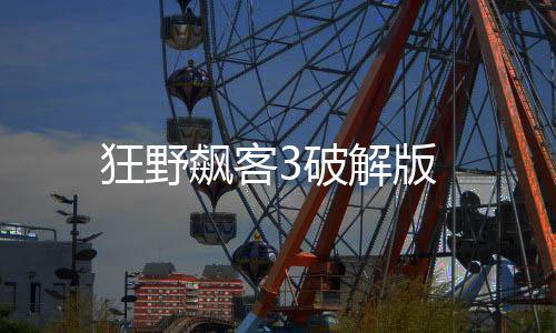 狂野飙客3破解版