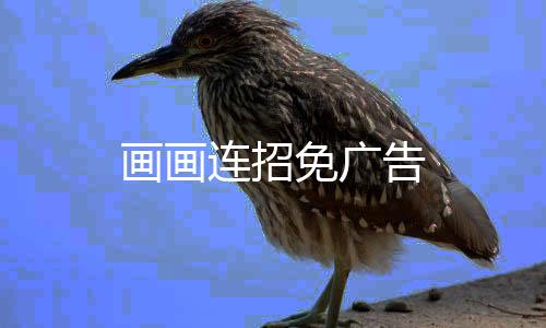 画画连招免广告