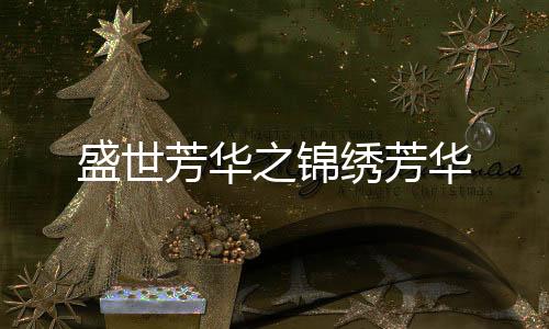 盛世芳华之锦绣芳华