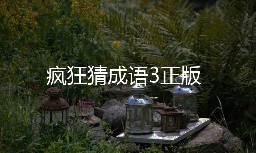 疯狂猜成语3正版