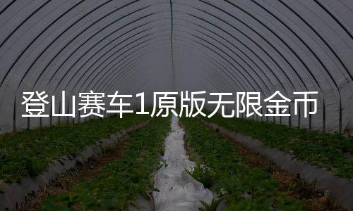 登山赛车1原版无限金币