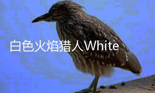白色火焰猎人WhiteFlame: The Hunter官方版