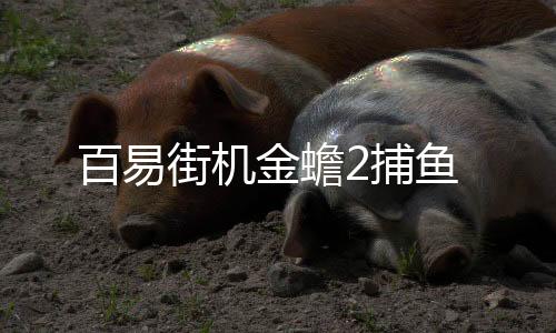 百易街机金蟾2捕鱼