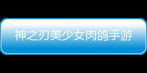 神之刃美少女肉鸽手游