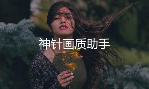 神针画质助手