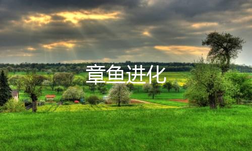 章鱼进化