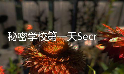 秘密学校第一天SecretSchool最新版