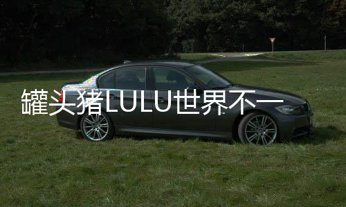 罐头猪LULU世界不一样的消消乐