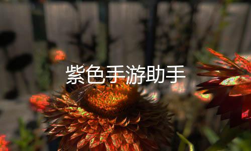 紫色手游助手
