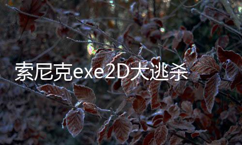索尼克exe2D大逃杀游戏(Sonic Exe Disaster 2D Remake)