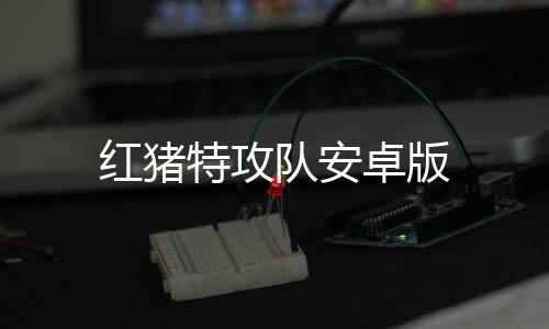 红猪特攻队安卓版