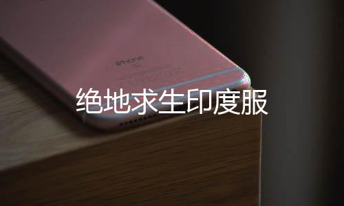 绝地求生印度服