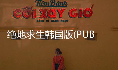 绝地求生韩国版(PUBG Mobile KR)