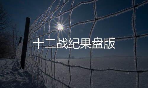 十二战纪果盘版