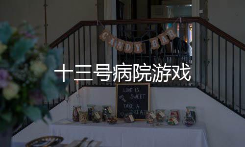 十三号病院游戏