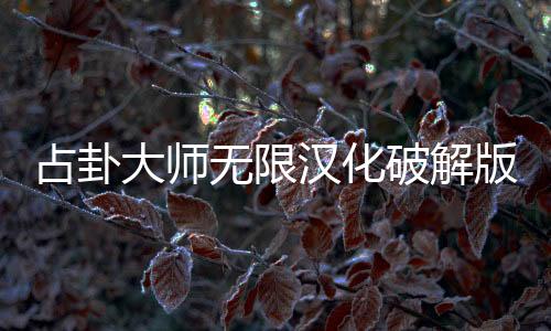 占卦大师无限汉化破解版