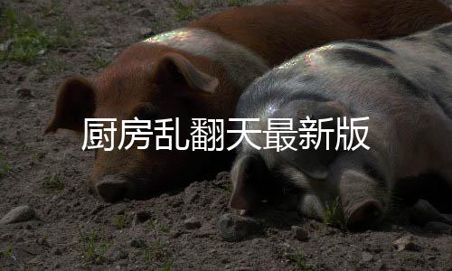 厨房乱翻天最新版