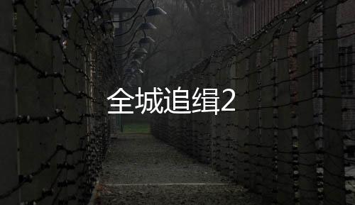 全城追缉2