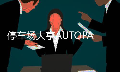 停车场大亨AUTOPARK INC