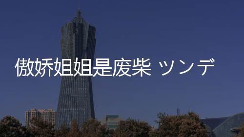 傲娇姐姐是废柴 ツンデレお姉ちゃんはヘタレ系
