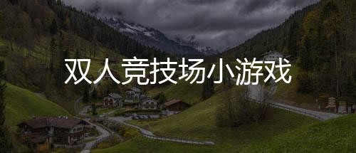 双人竞技场小游戏