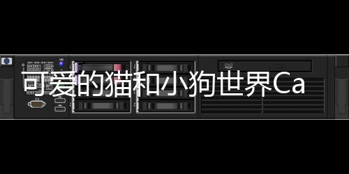 可爱的猫和小狗世界Cat & Puppy World