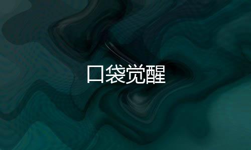 口袋觉醒
