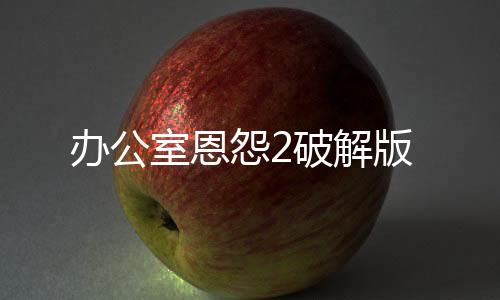 办公室恩怨2破解版