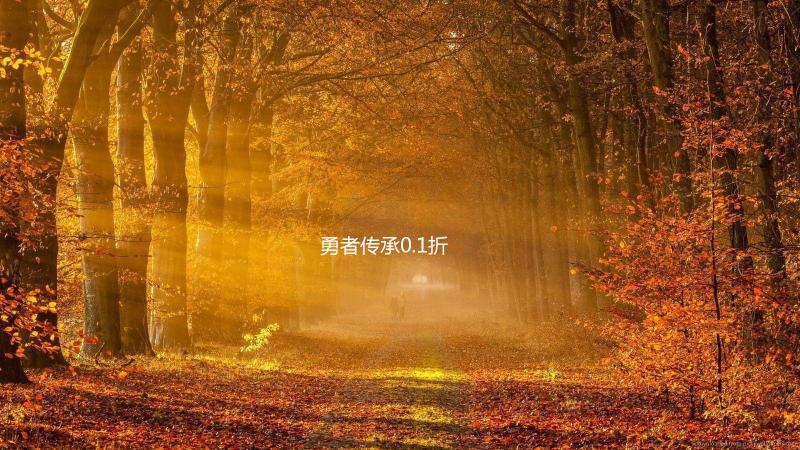 勇者传承0.1折