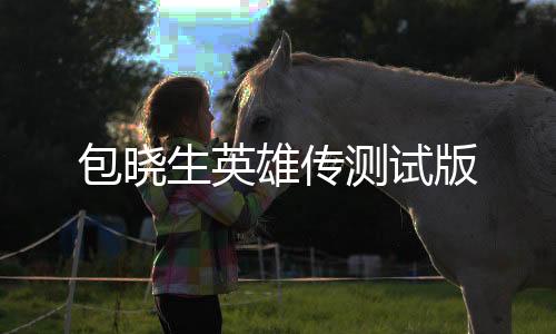 包晓生英雄传测试版
