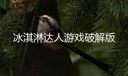 冰淇淋达人游戏破解版