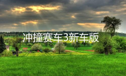 冲撞赛车3新车版