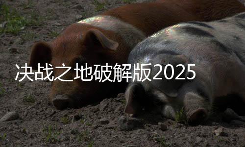 决战之地破解版2025