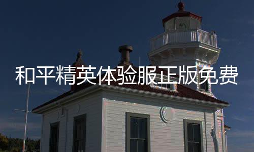 和平精英体验服正版免费