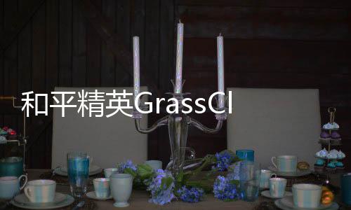 和平精英GrassClean最新版