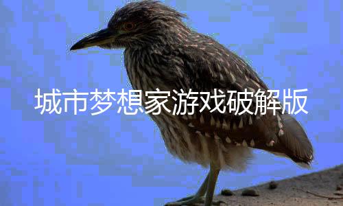 城市梦想家游戏破解版