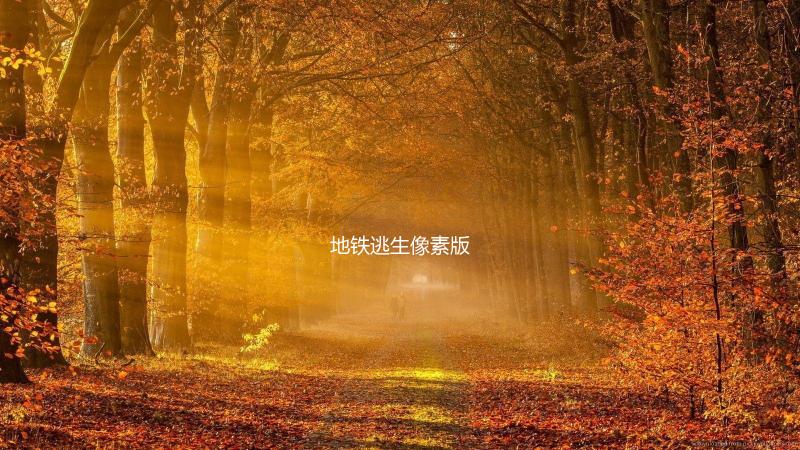 地铁逃生像素版
