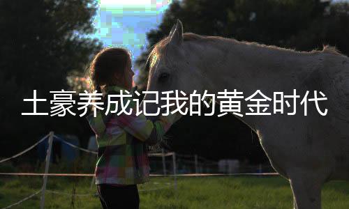 土豪养成记我的黄金时代破解版无限金币