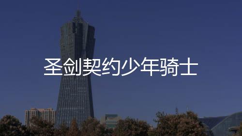 圣剑契约少年骑士