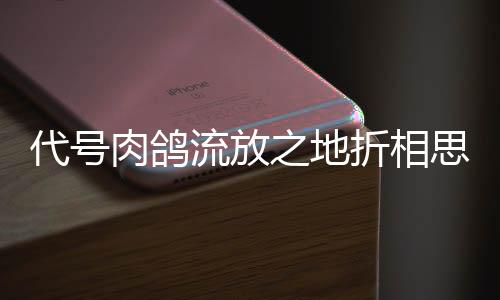 代号肉鸽流放之地折相思