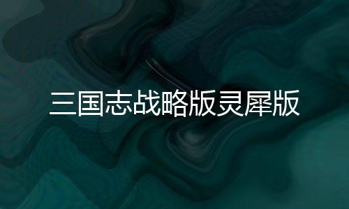 三国志战略版灵犀版