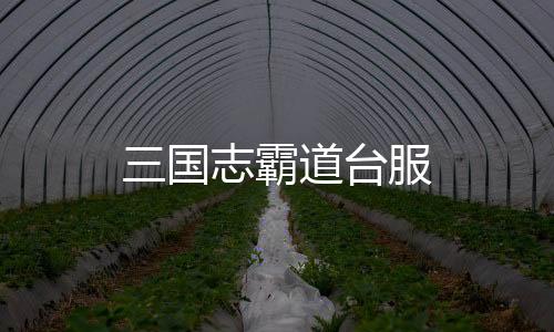 三国志霸道台服
